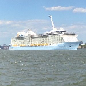 Meet your Posher, Jackson